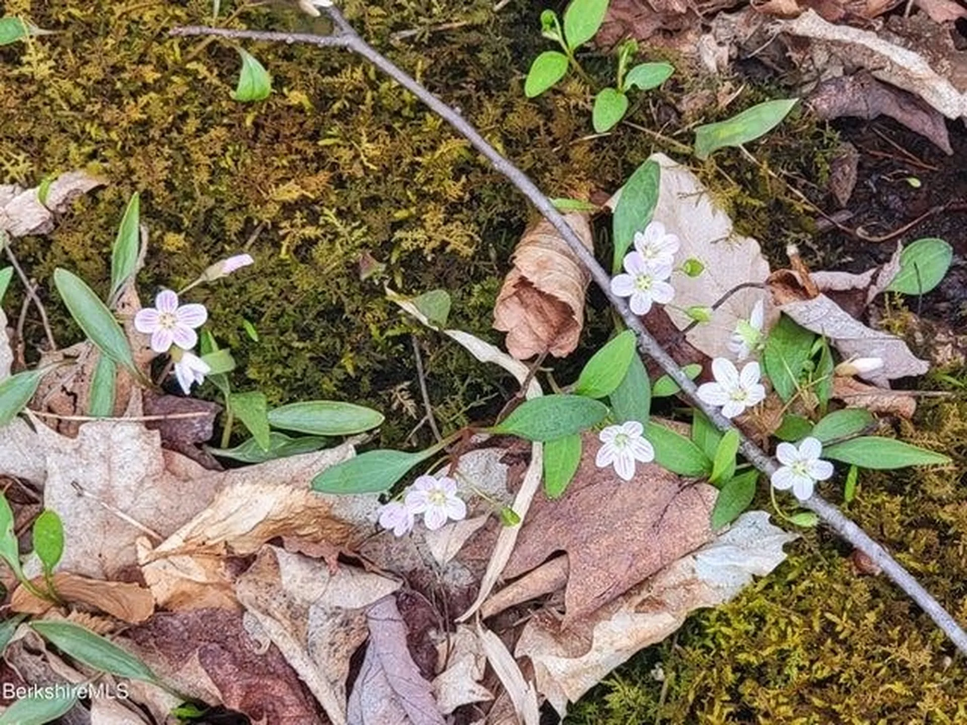 0 County Road Stamford VT 05352