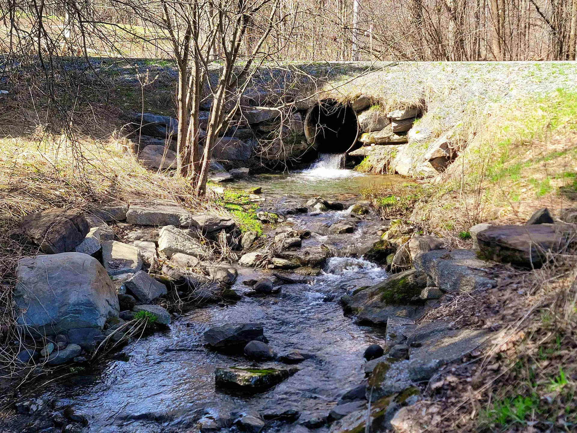 201 Rugg Road Fairfield VT 05455