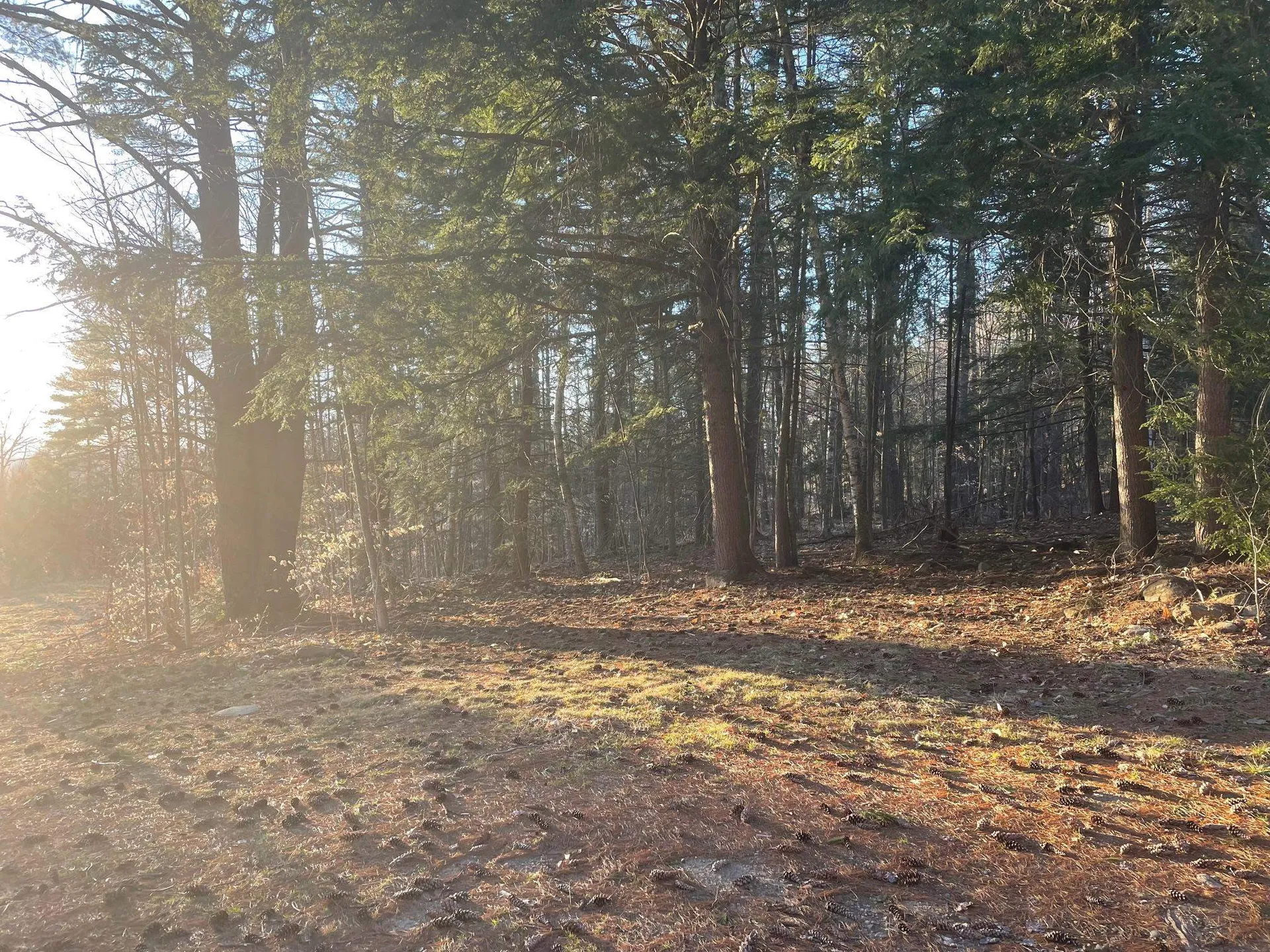 00 Pinnacle Ridge Road Meredith NH 03253