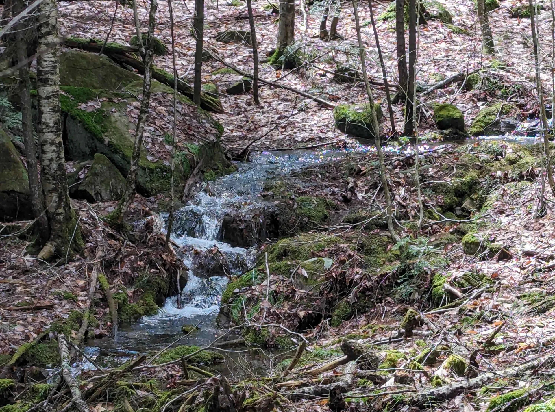 276 Beaver Brook Road Campton NH 03223