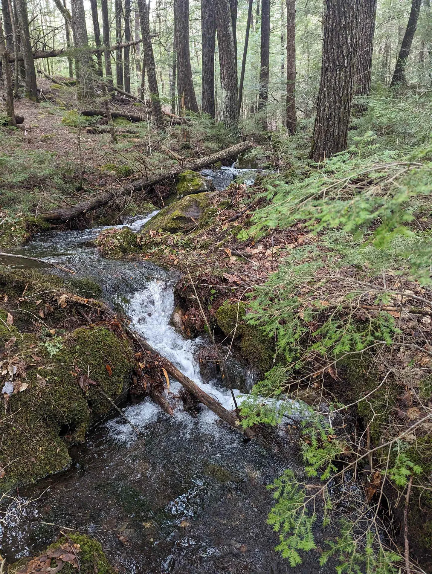 276 Beaver Brook Road Campton NH 03223