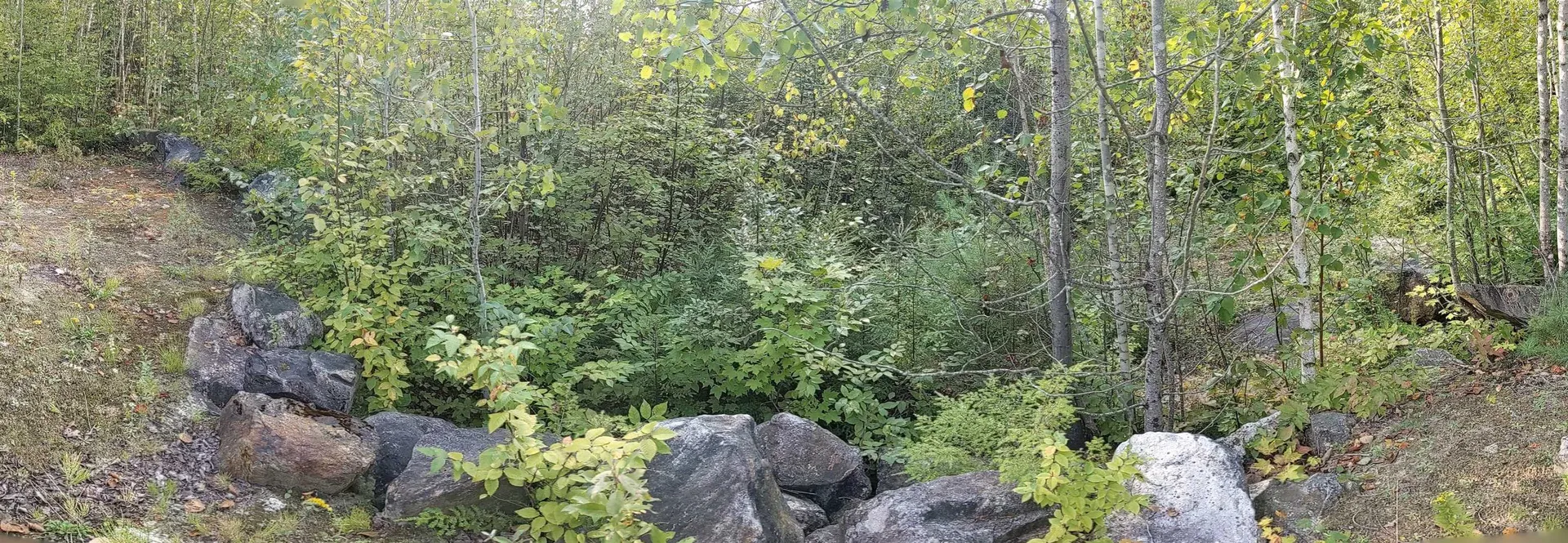 276 Beaver Brook Road Campton NH 03223