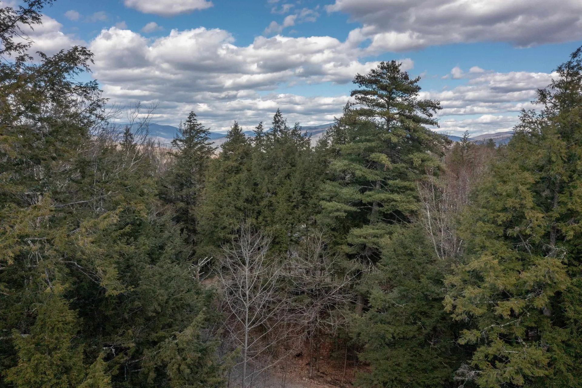 276 Beaver Brook Road Campton NH 03223