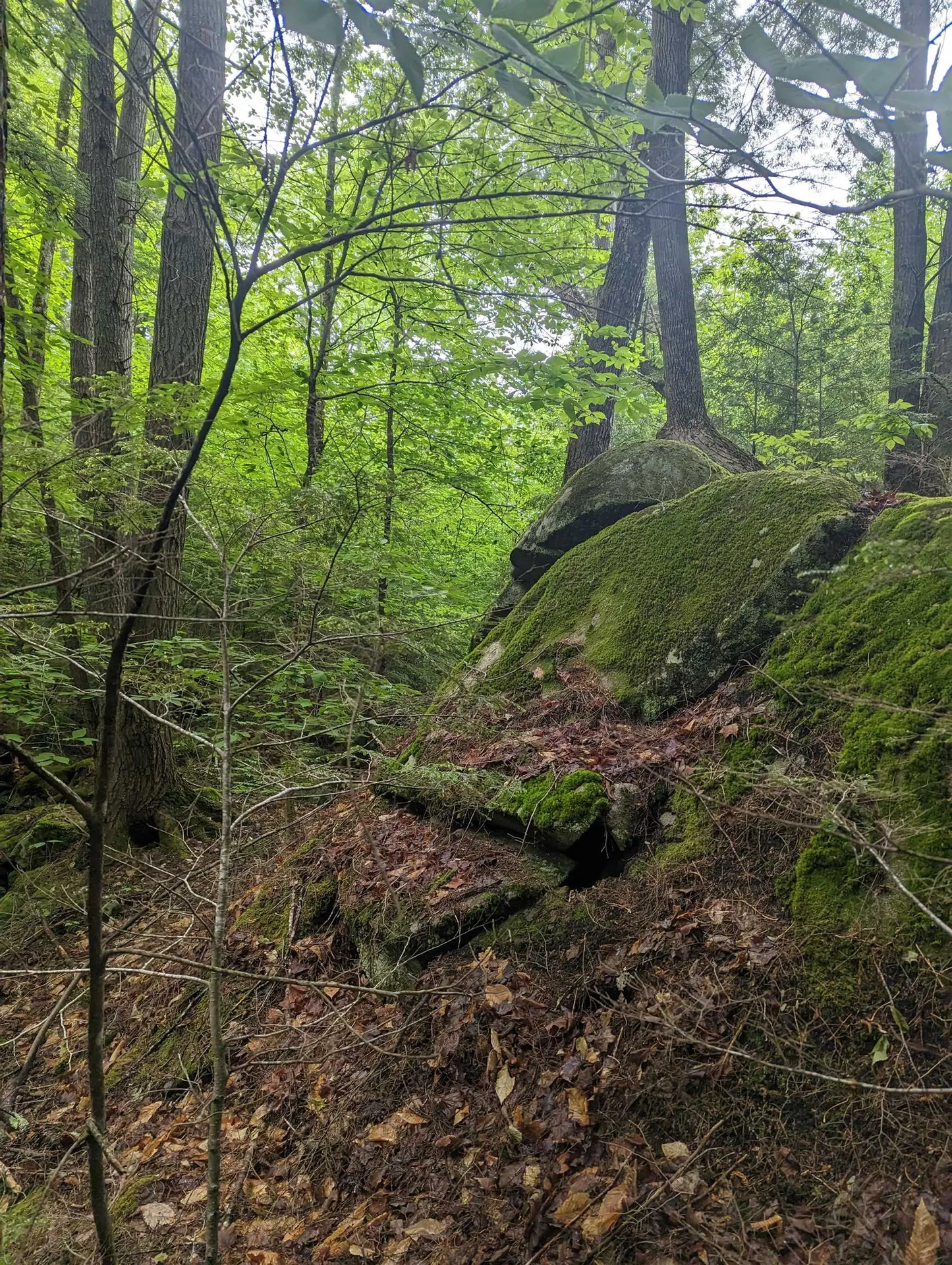 276 Beaver Brook Road Campton NH 03223