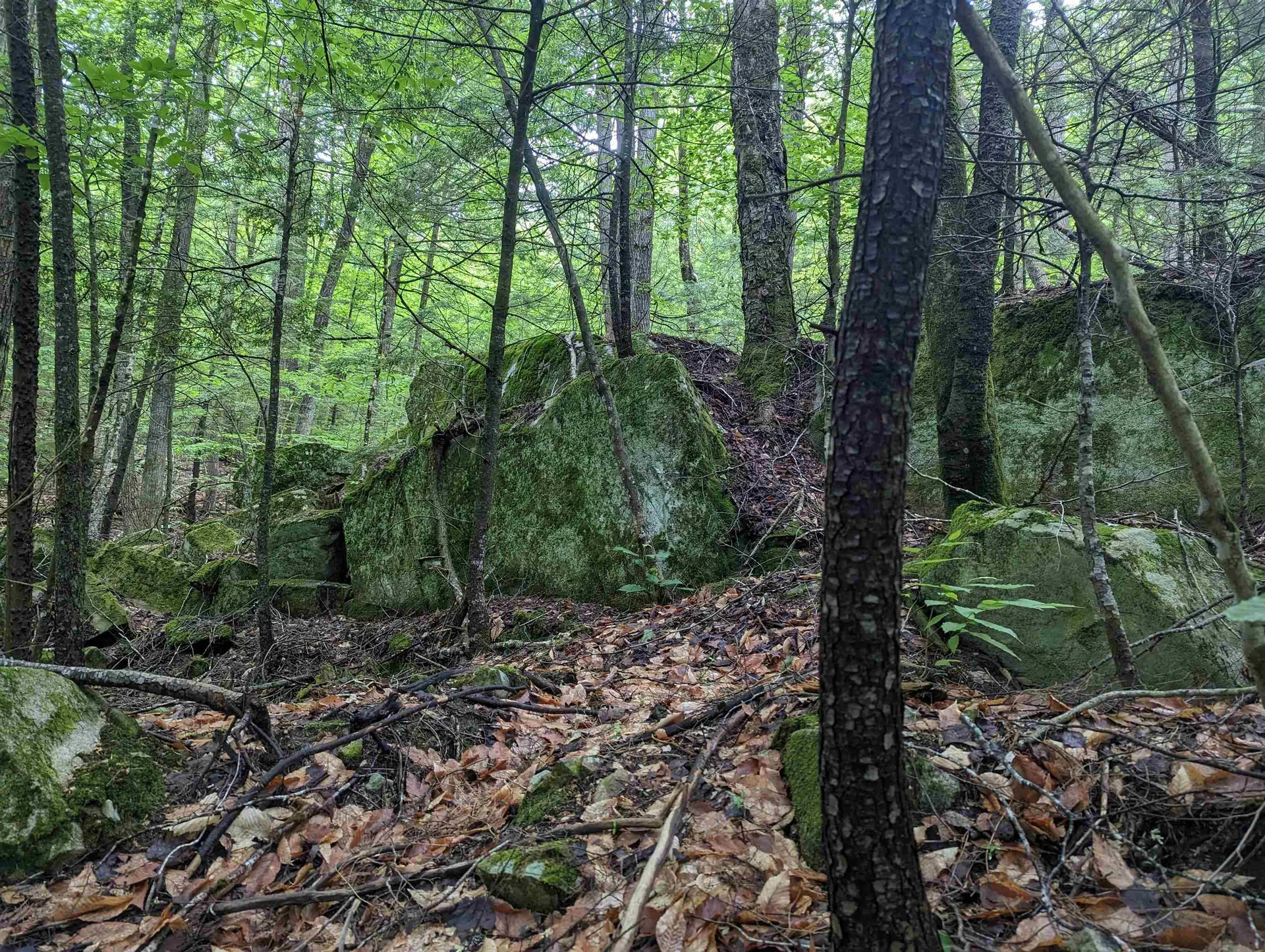 276 Beaver Brook Road Campton NH 03223