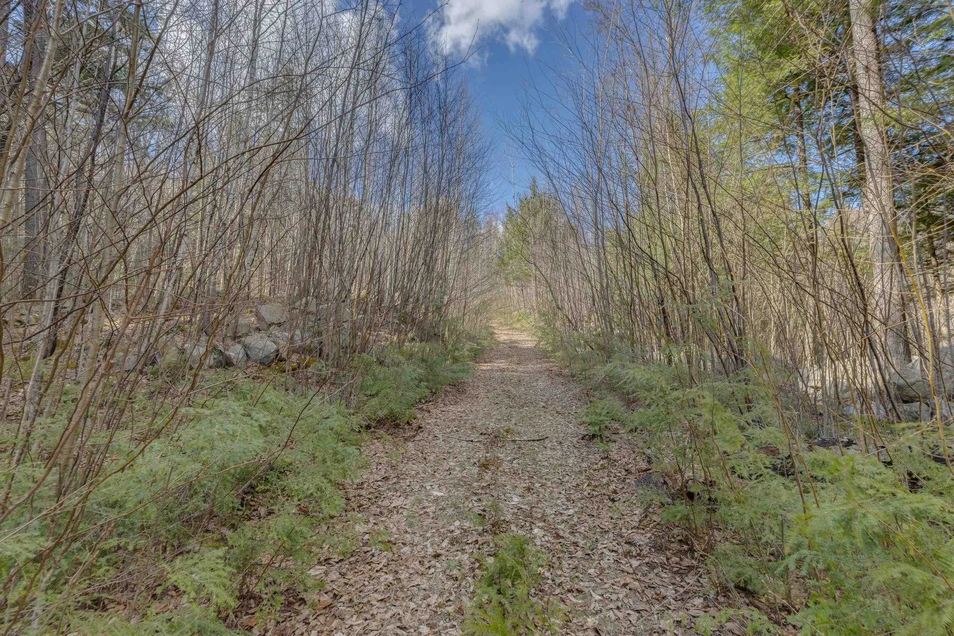 276 Beaver Brook Road Campton NH 03223