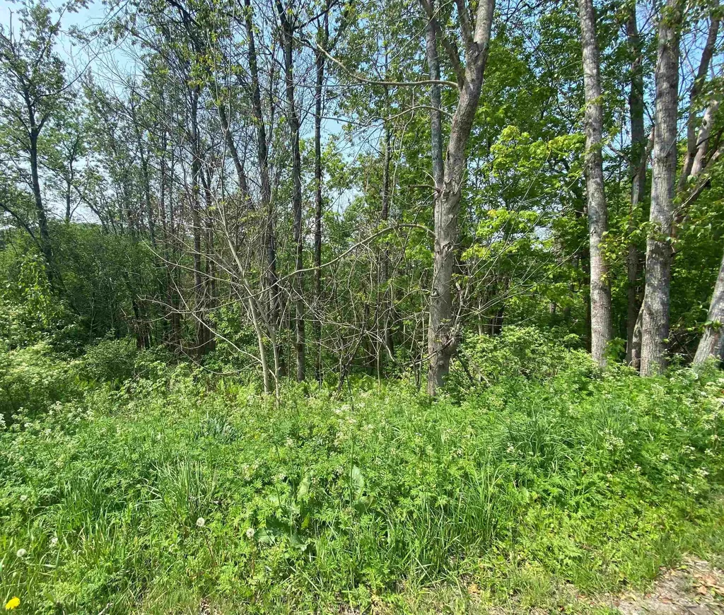 00 Wallace Hill Road Randolph VT 05060