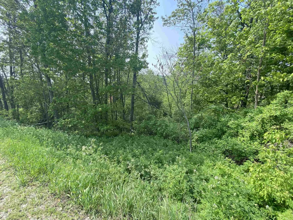 00 Wallace Hill Road Randolph VT 05060