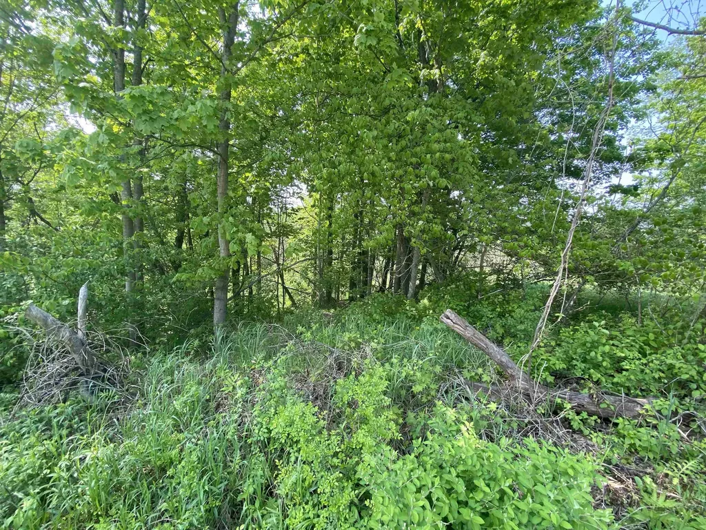 00 Wallace Hill Road Randolph VT 05060