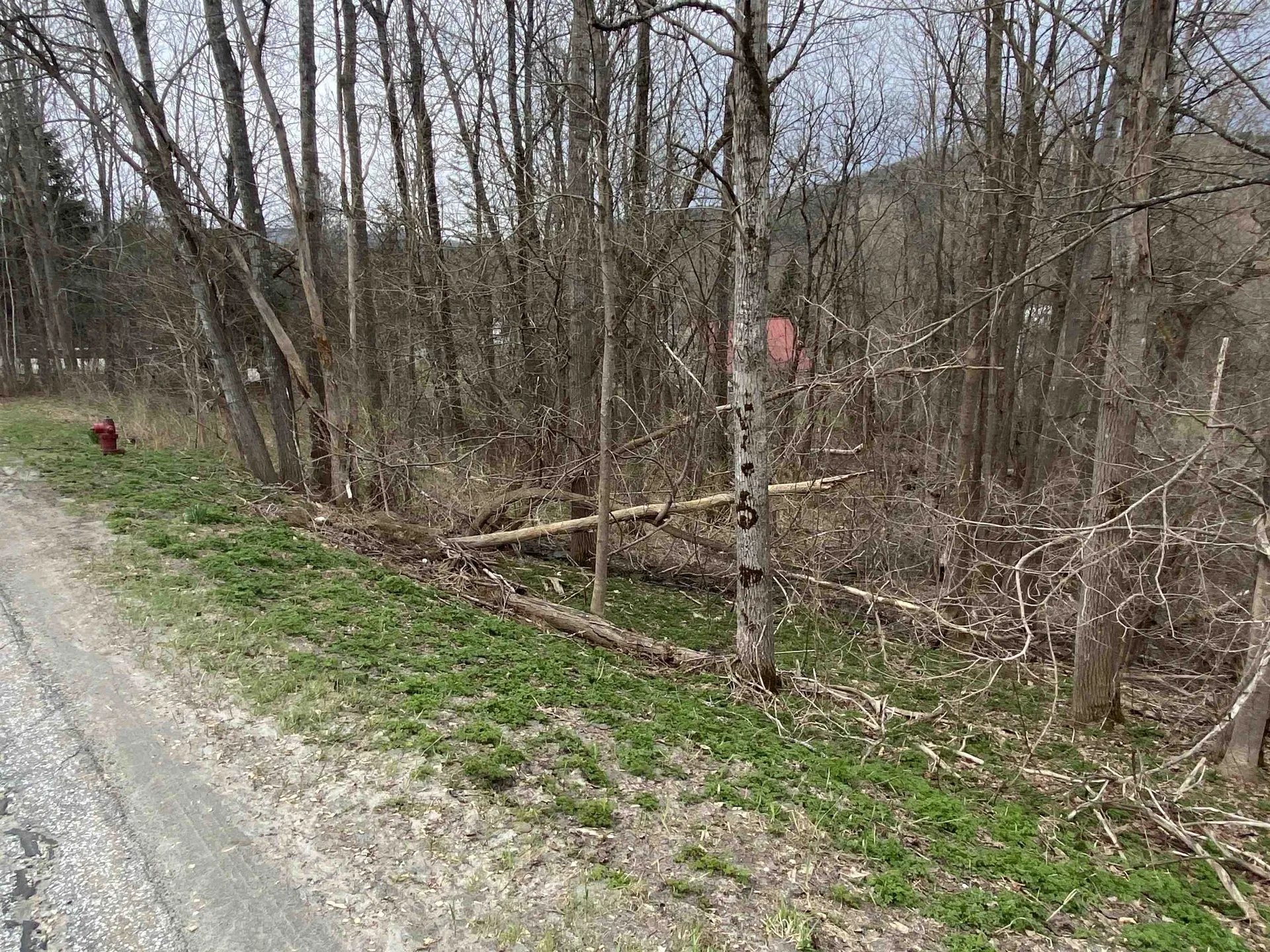 00 Wallace Hill Road Randolph VT 05060