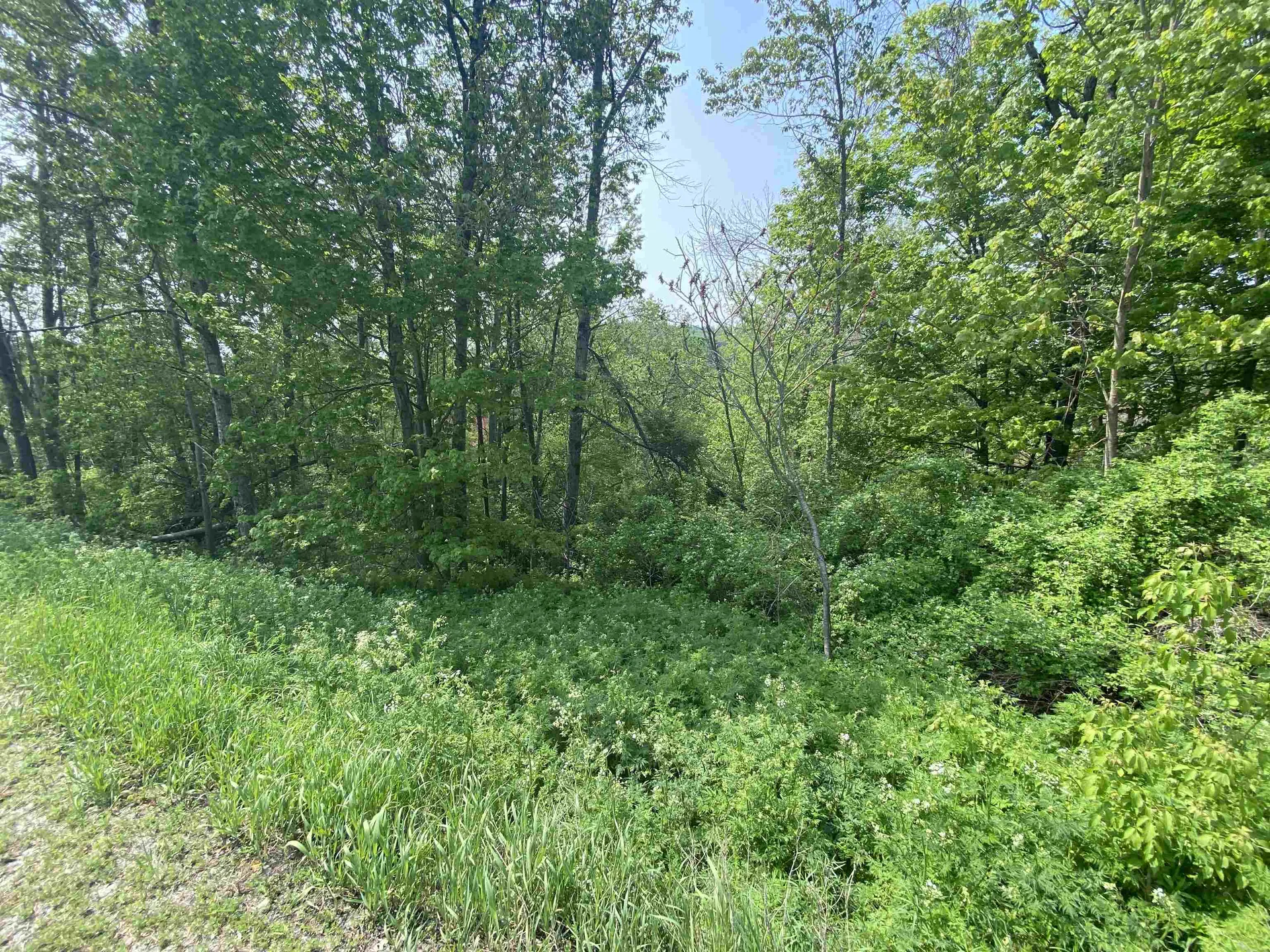 00 Wallace Hill Road Randolph VT 05060