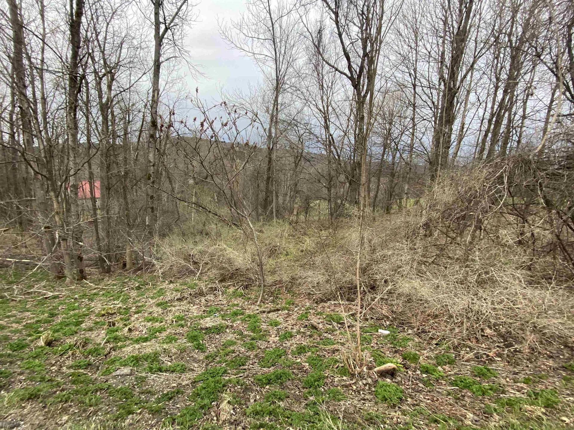 00 Wallace Hill Road Randolph VT 05060