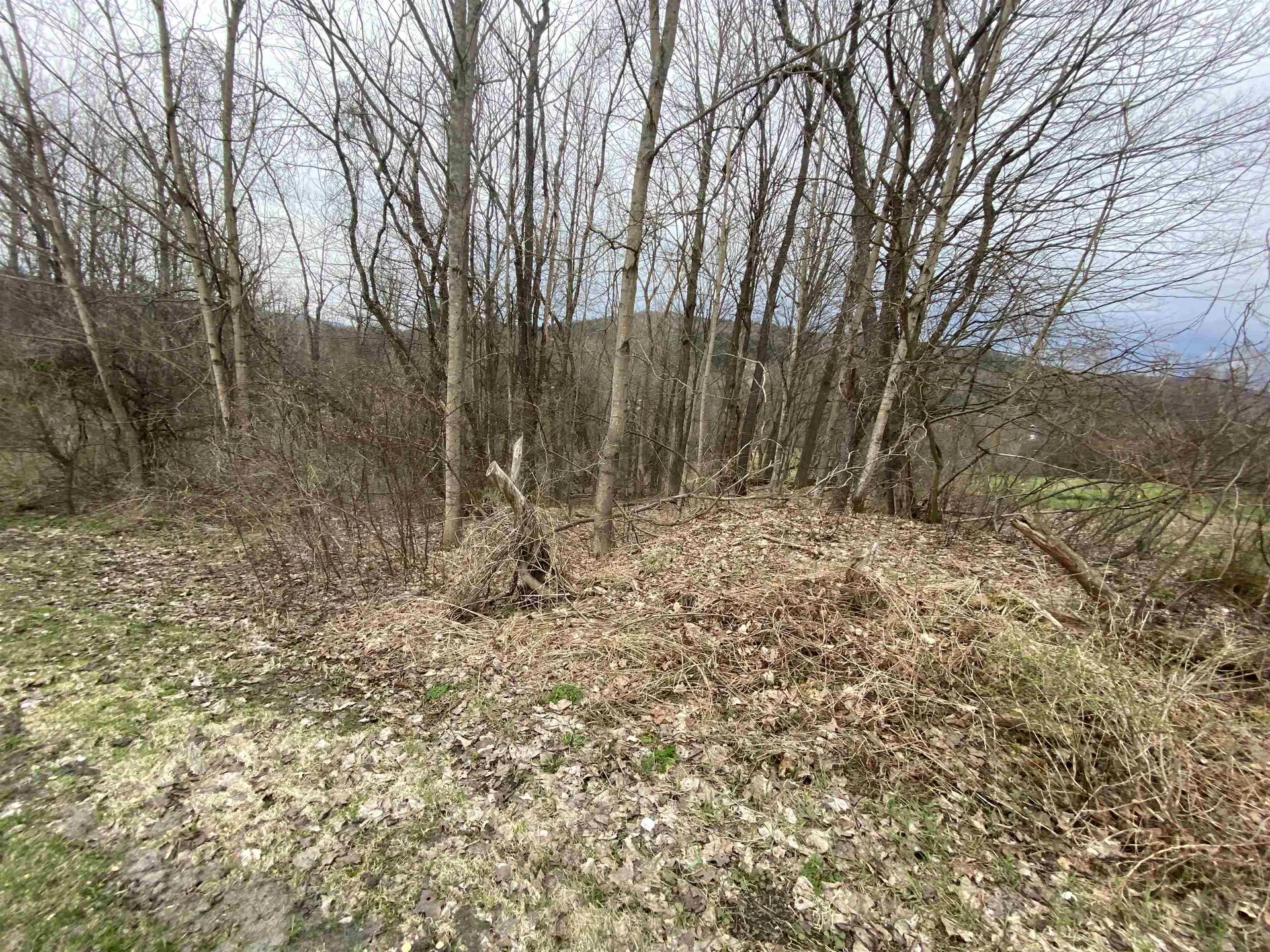 00 Wallace Hill Road Randolph VT 05060