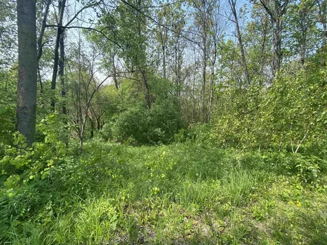 00 Wallace Hill Road Randolph VT 05060