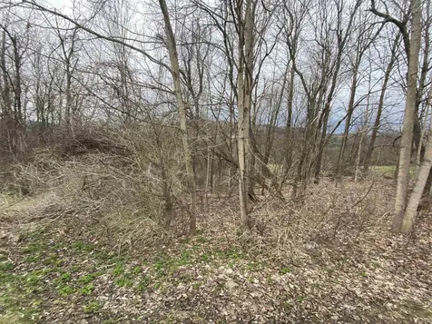 00 Wallace Hill Road Randolph VT 05060