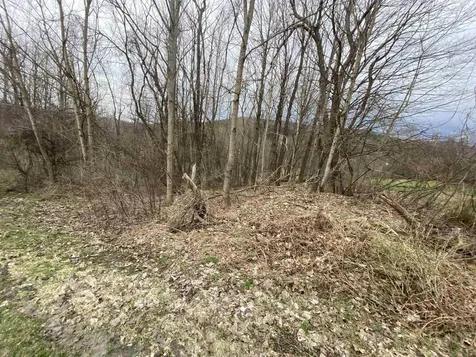 00 Wallace Hill Road Randolph VT 05060