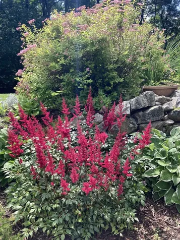 6 Woodbine Lane Merrimack NH 03054