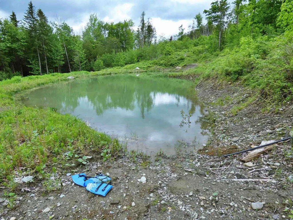 1231 Lafont Road Albany VT 05820