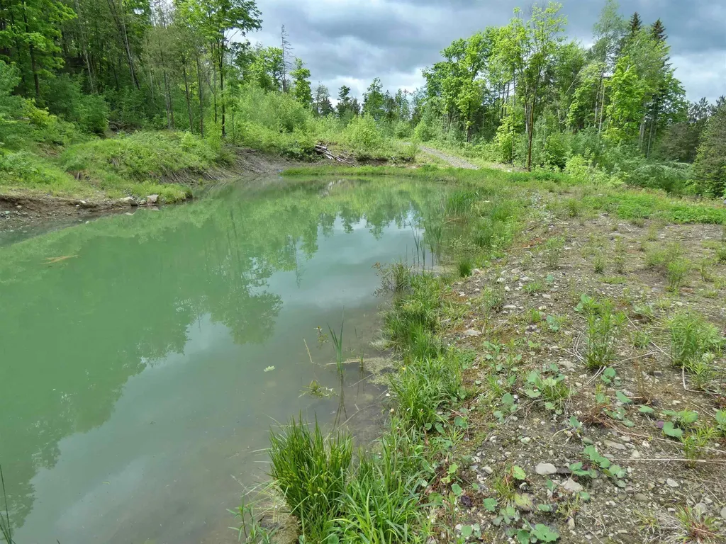 1231 Lafont Road Albany VT 05820