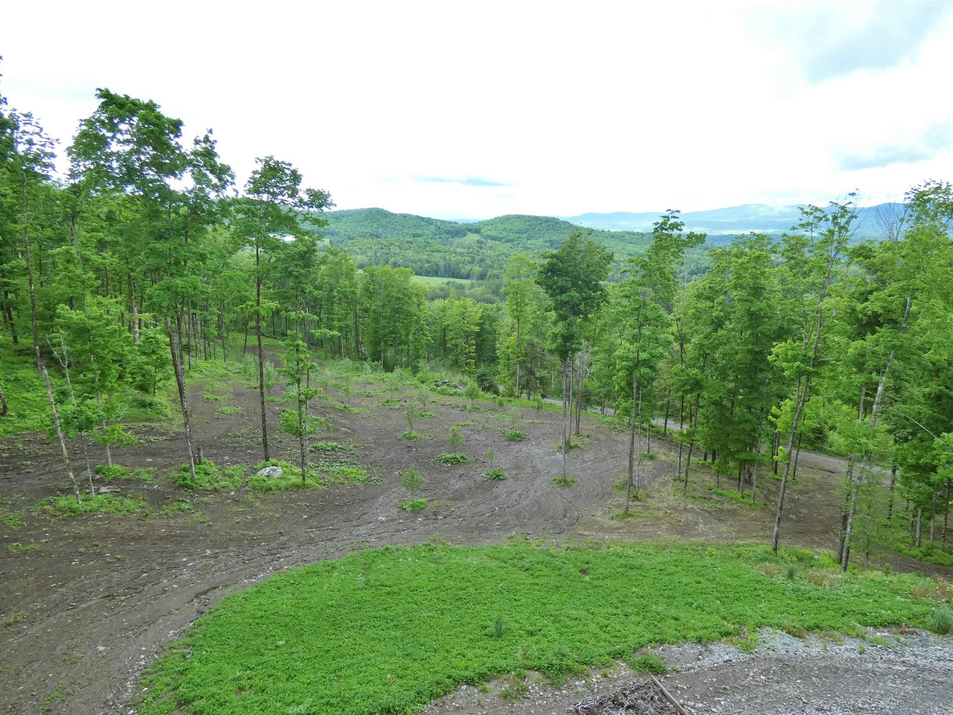 1231 Lafont Road Albany VT 05820