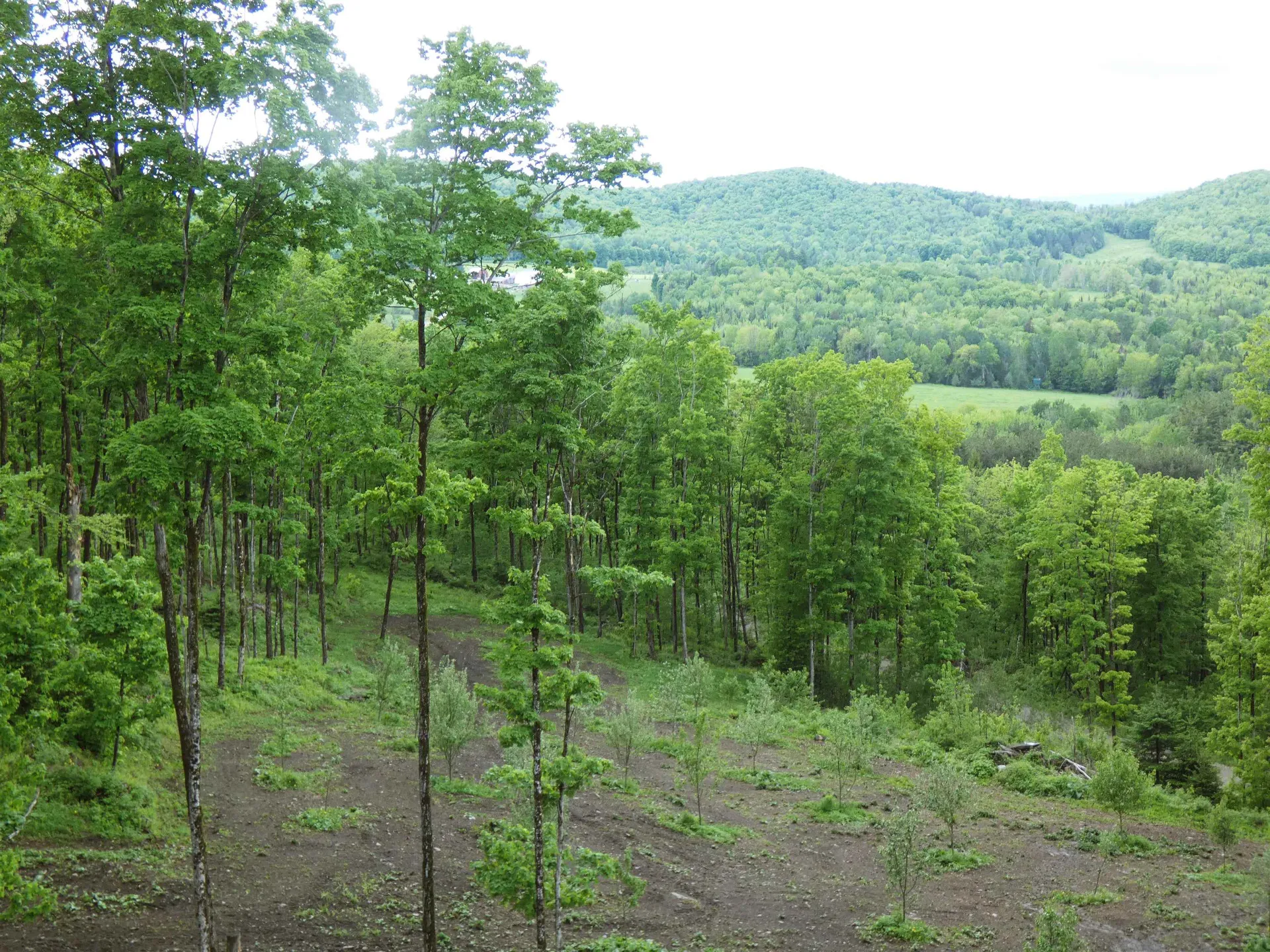 1231 Lafont Road Albany VT 05820