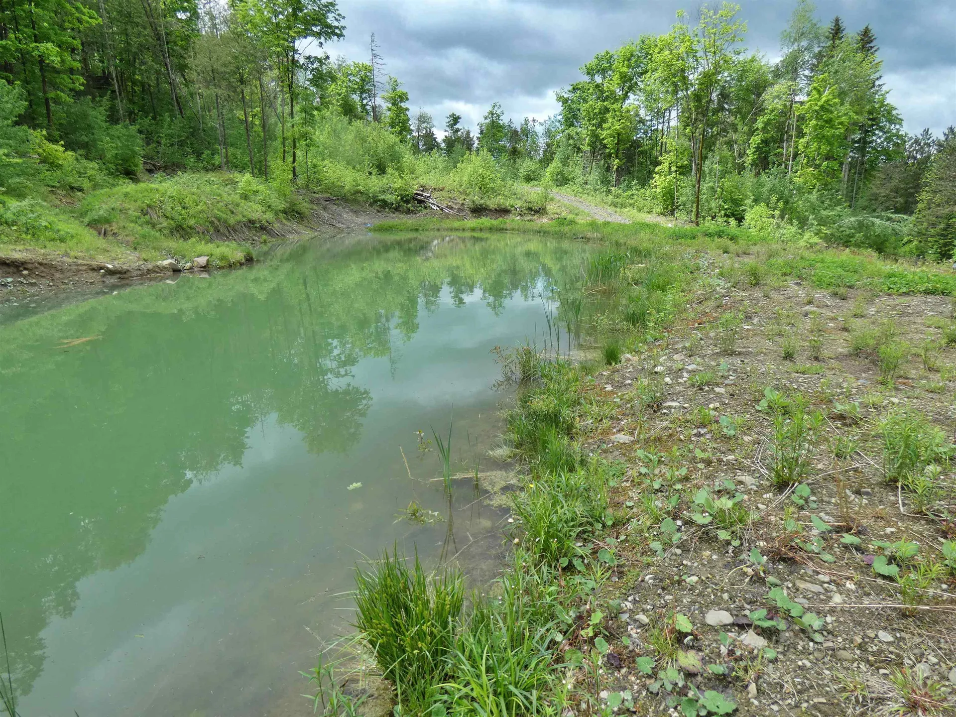 1231 Lafont Road Albany VT 05820