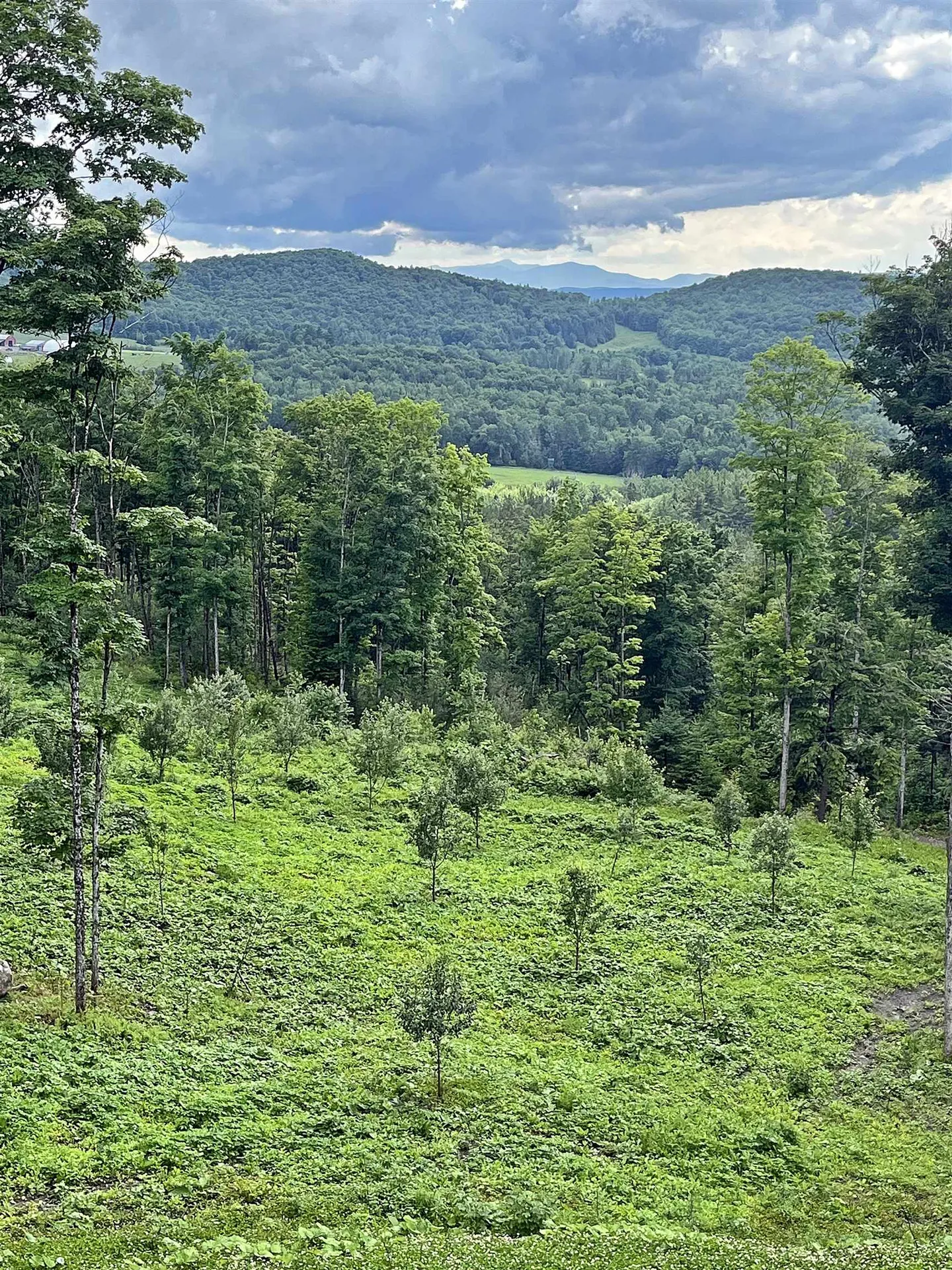 1231 Lafont Road Albany VT 05820