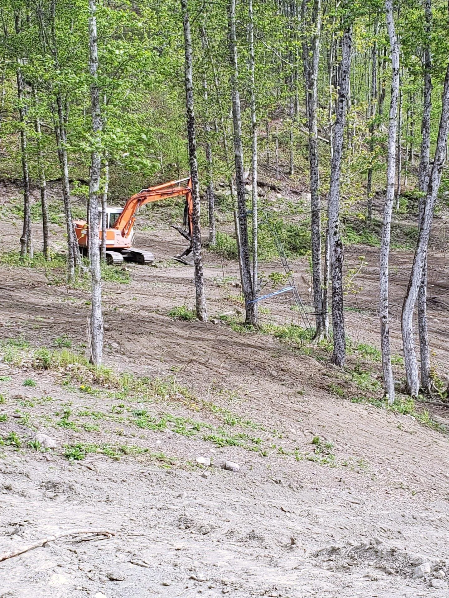 1231 Lafont Road Albany VT 05820