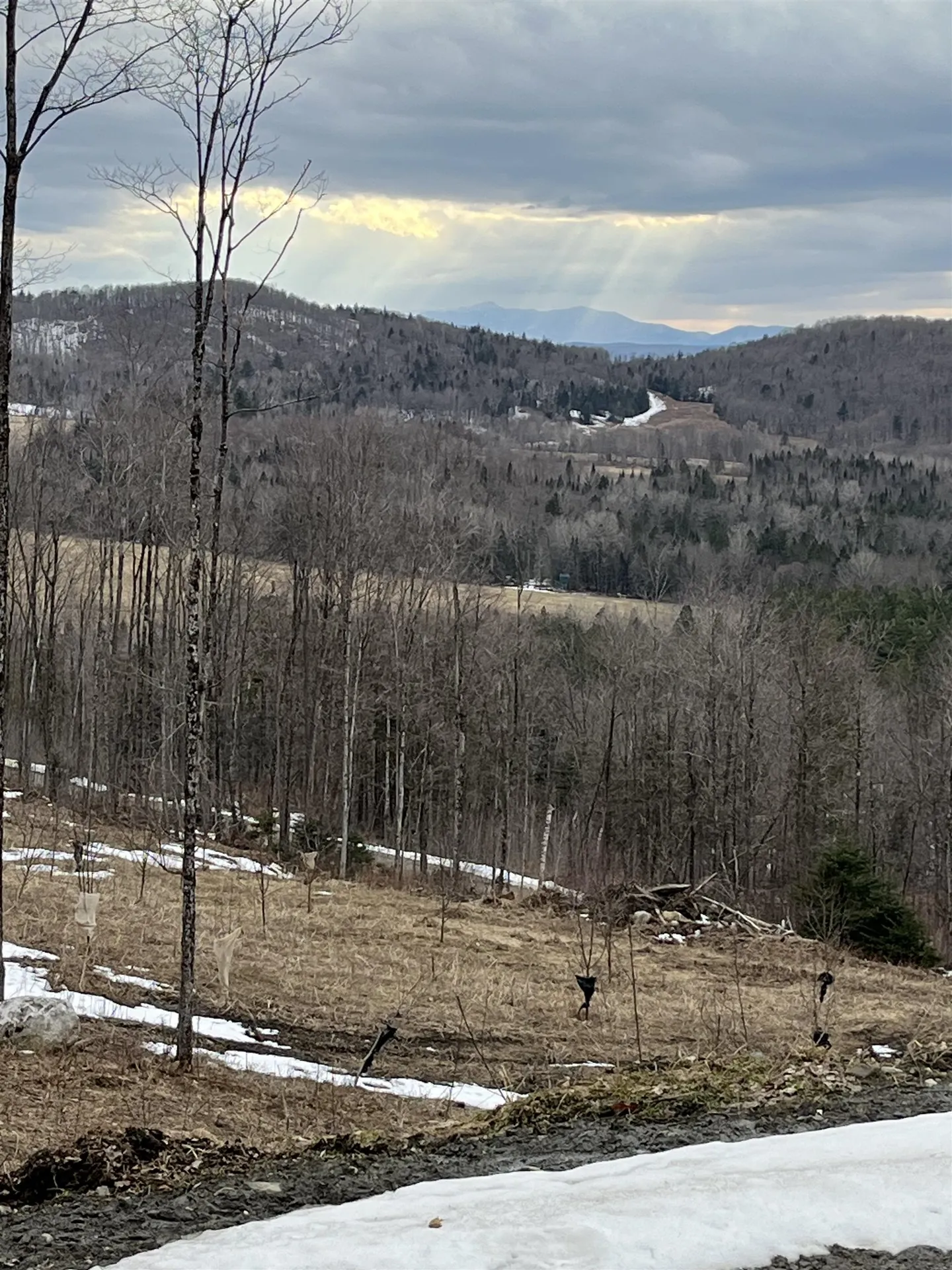 1231 Lafont Road Albany VT 05820