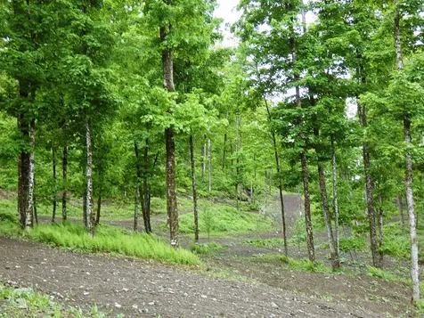 1231 Lafont Road Albany VT 05820