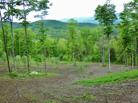 1231 Lafont Road Albany VT 05820