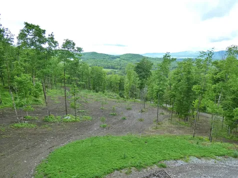 1231 Lafont Road Albany VT 05820