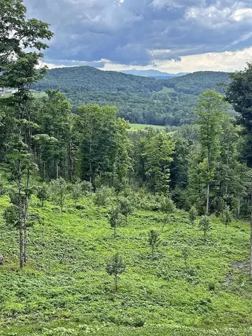 1231 Lafont Road Albany VT 05820