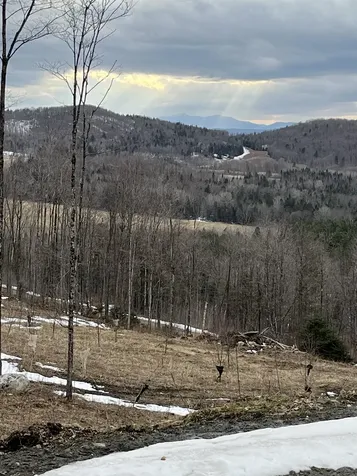 1231 Lafont Road Albany VT 05820