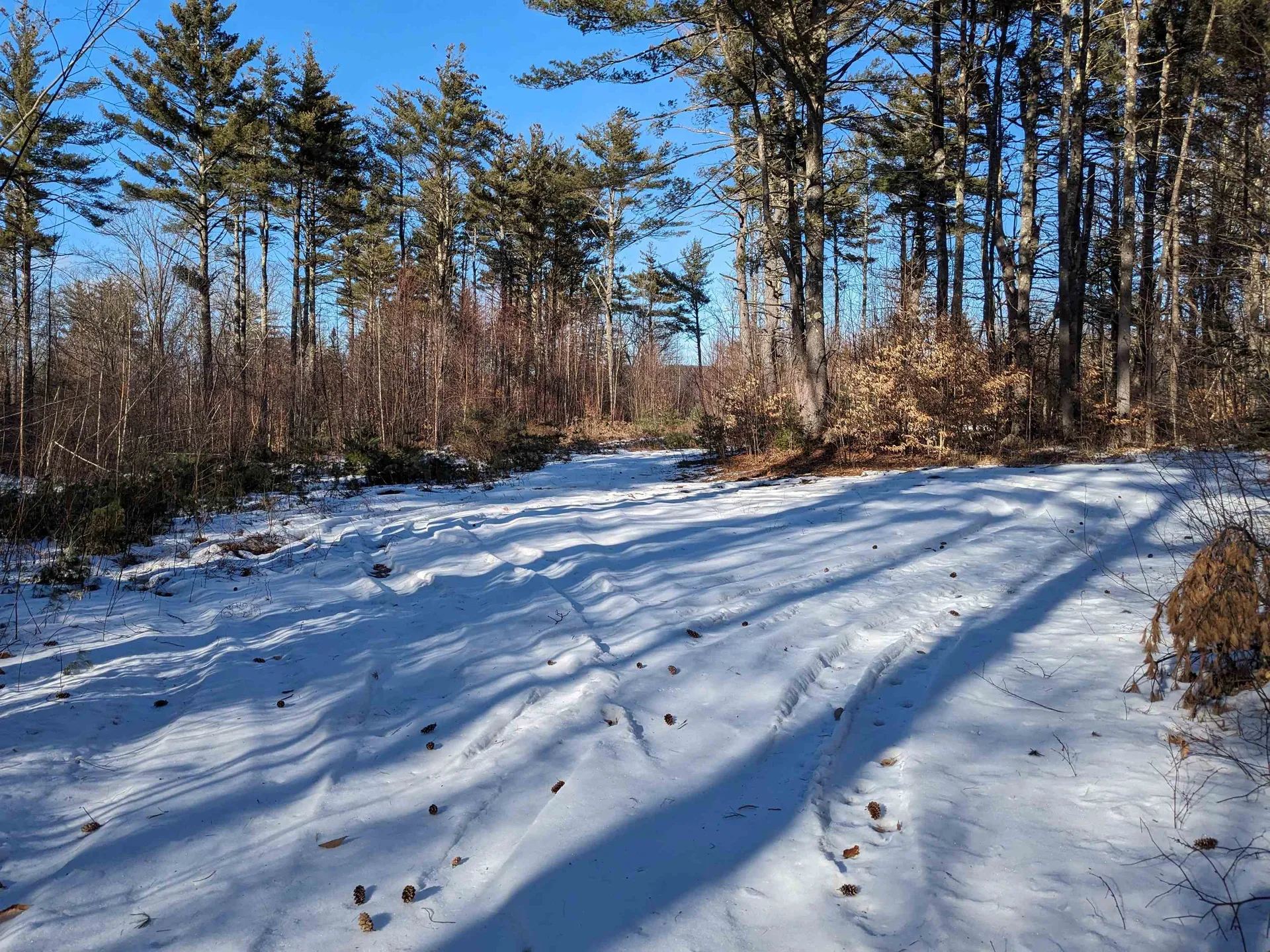 00 Codman Hill Road Deering NH 03244