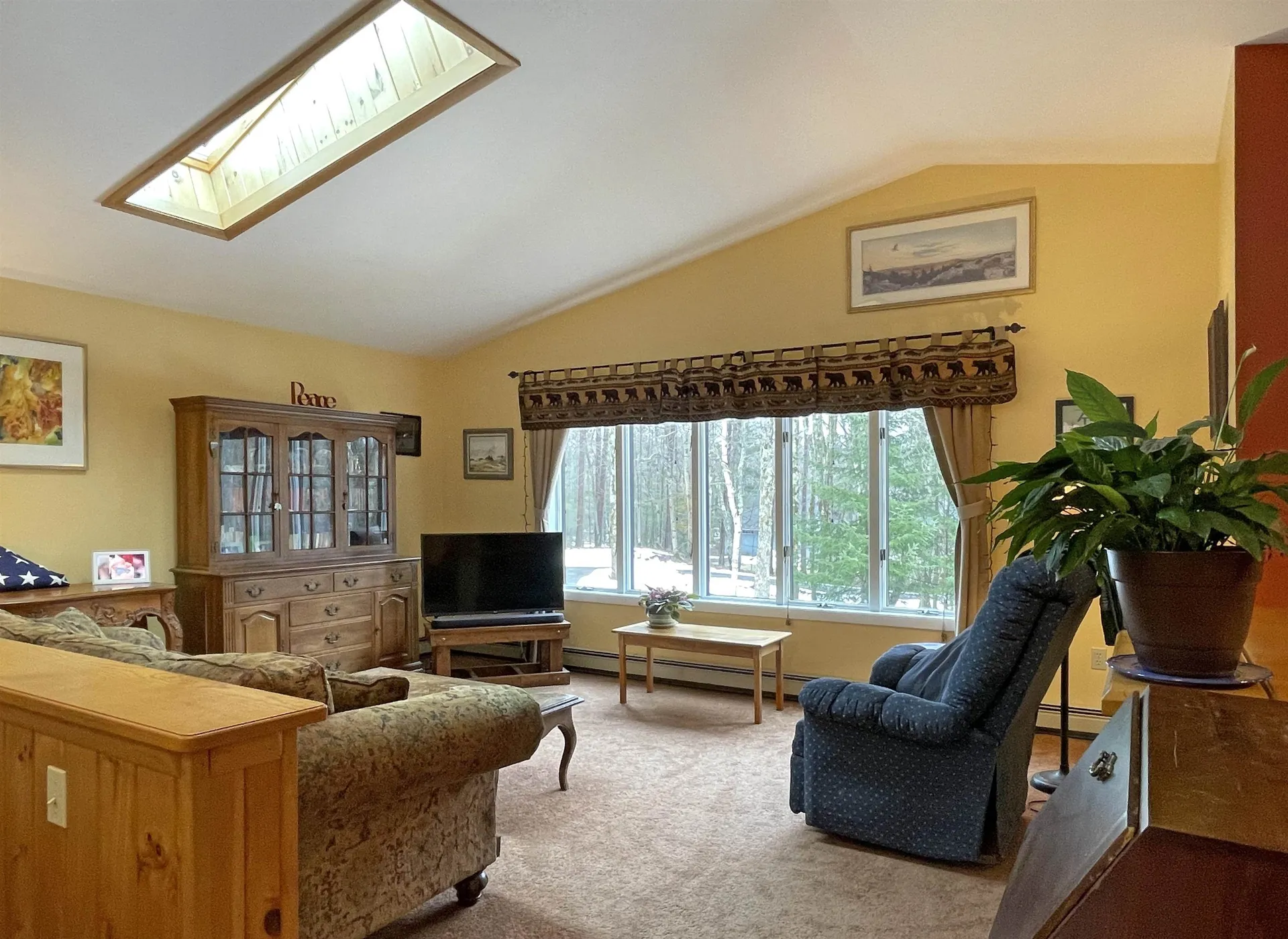 249 Page Knoll Lincoln VT 05443