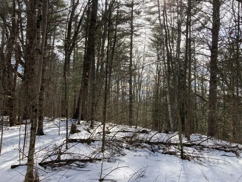Jerusalem Road Canaan NH 03741