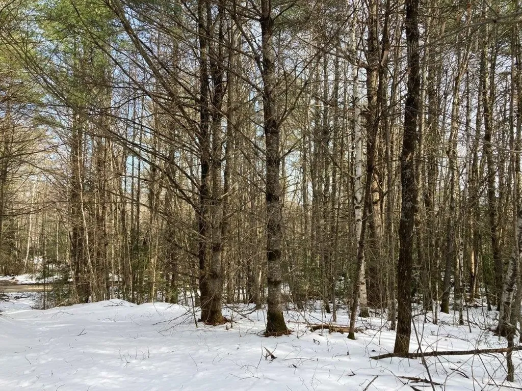 Jerusalem Road Canaan NH 03741