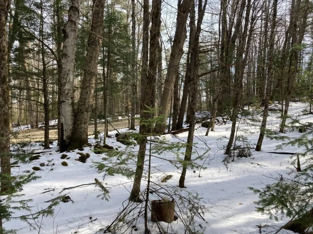Jerusalem Road Canaan NH 03741