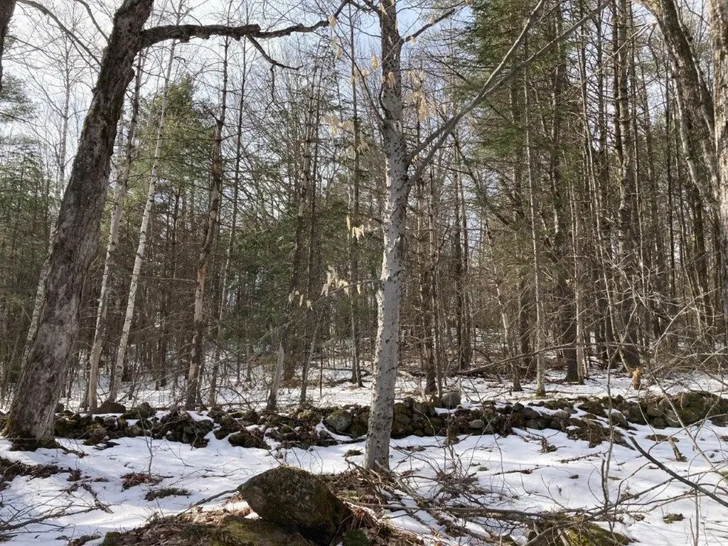 Jerusalem Road Canaan NH 03741