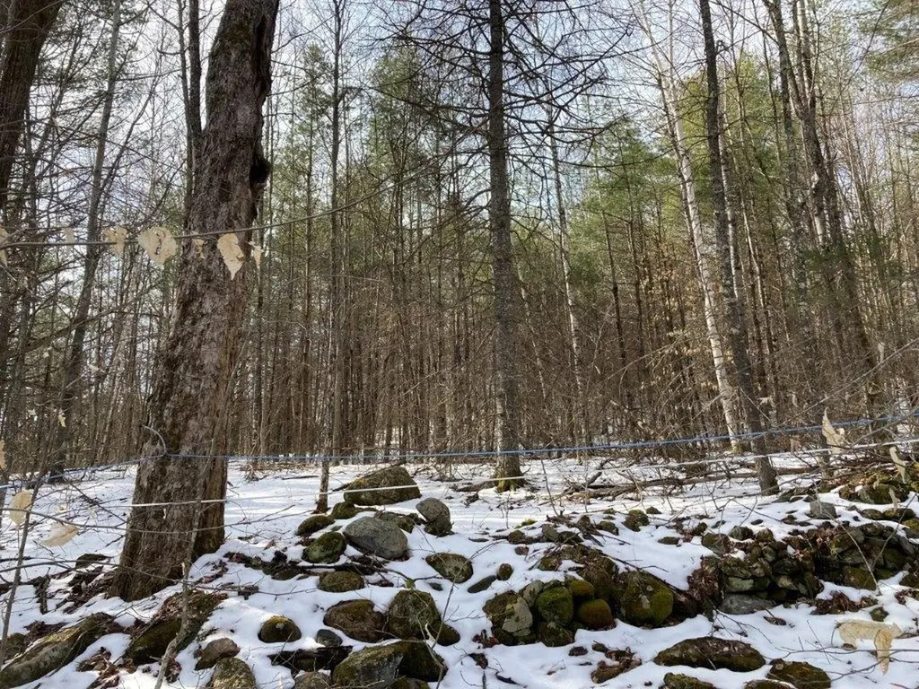 Jerusalem Road Canaan NH 03741