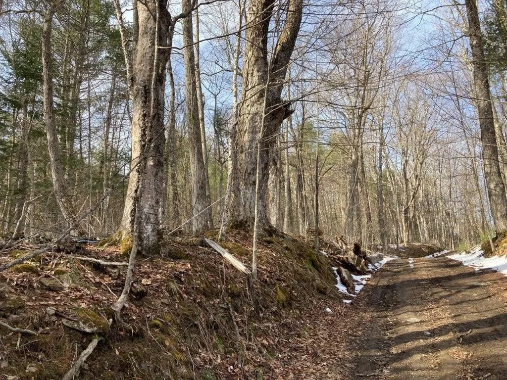 Jerusalem Road Canaan NH 03741