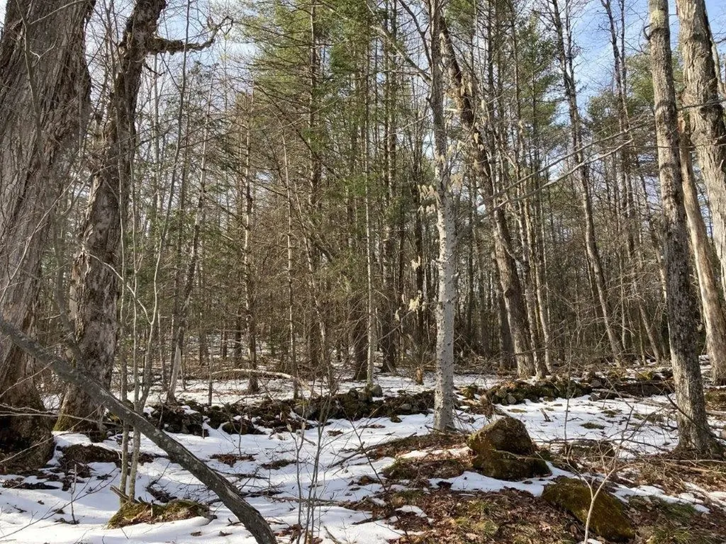 Jerusalem Road Canaan NH 03741