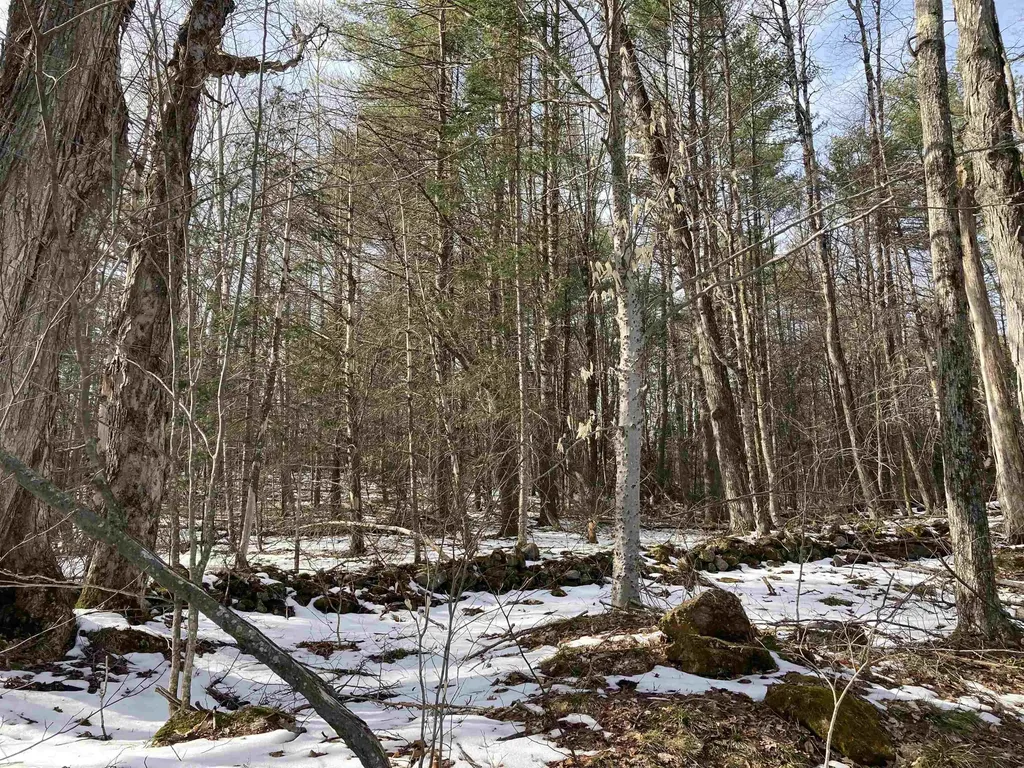 Jerusalem Road Canaan NH 03741