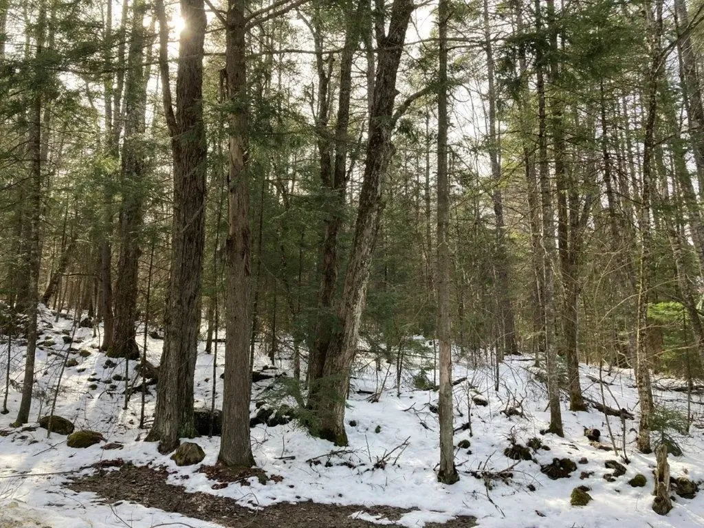 Jerusalem Road Canaan NH 03741
