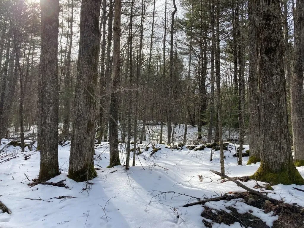 Jerusalem Road Canaan NH 03741