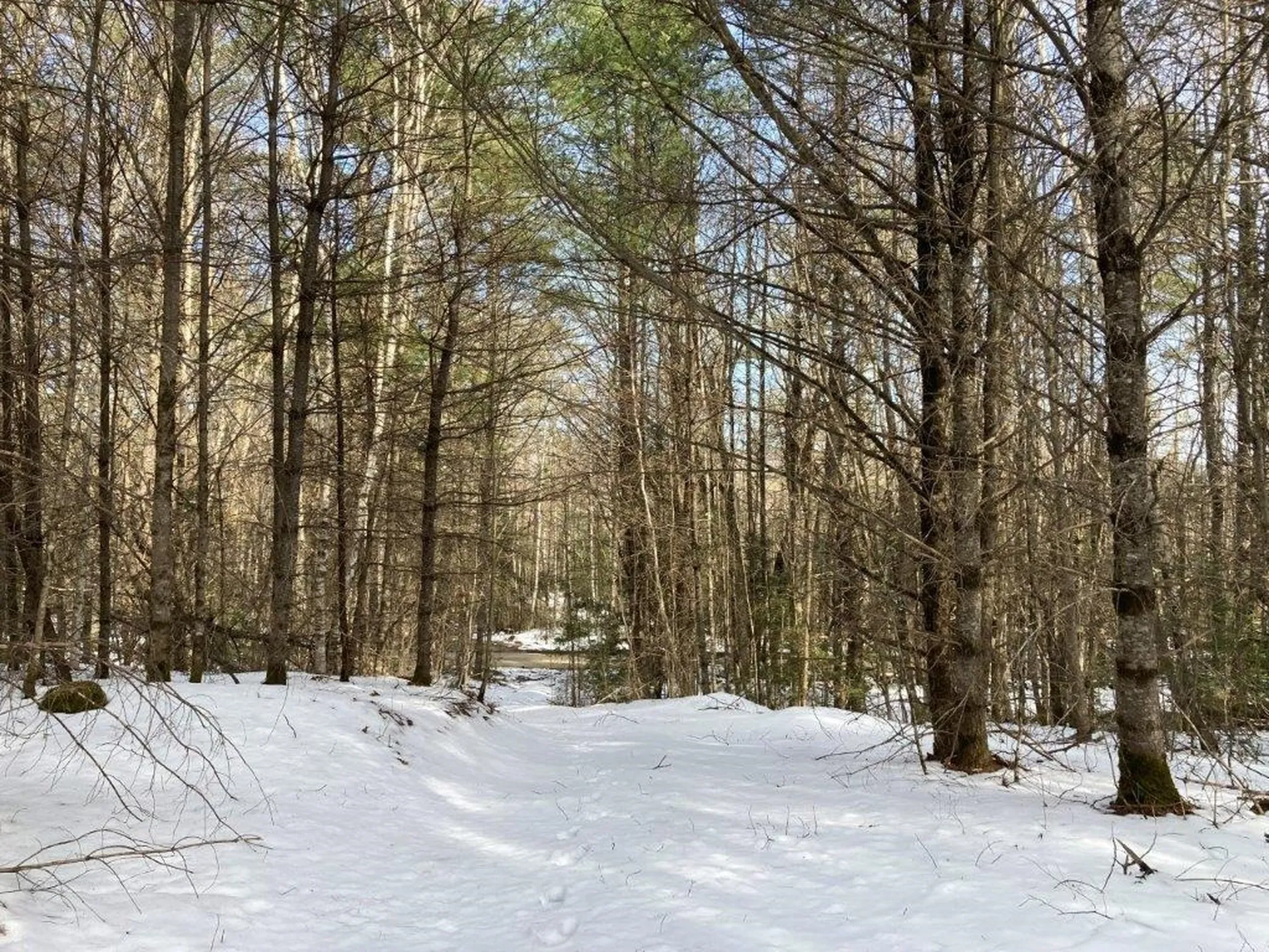 Jerusalem Road Canaan NH 03741