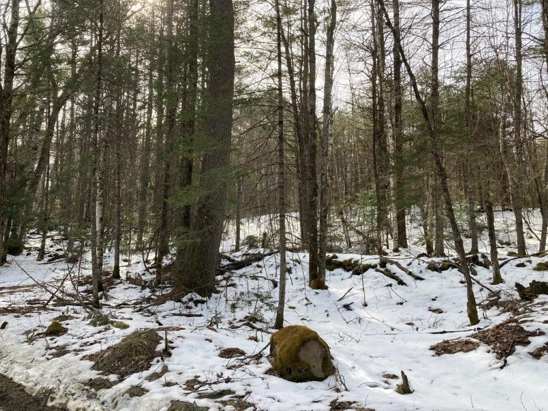 Jerusalem Road Canaan NH 03741