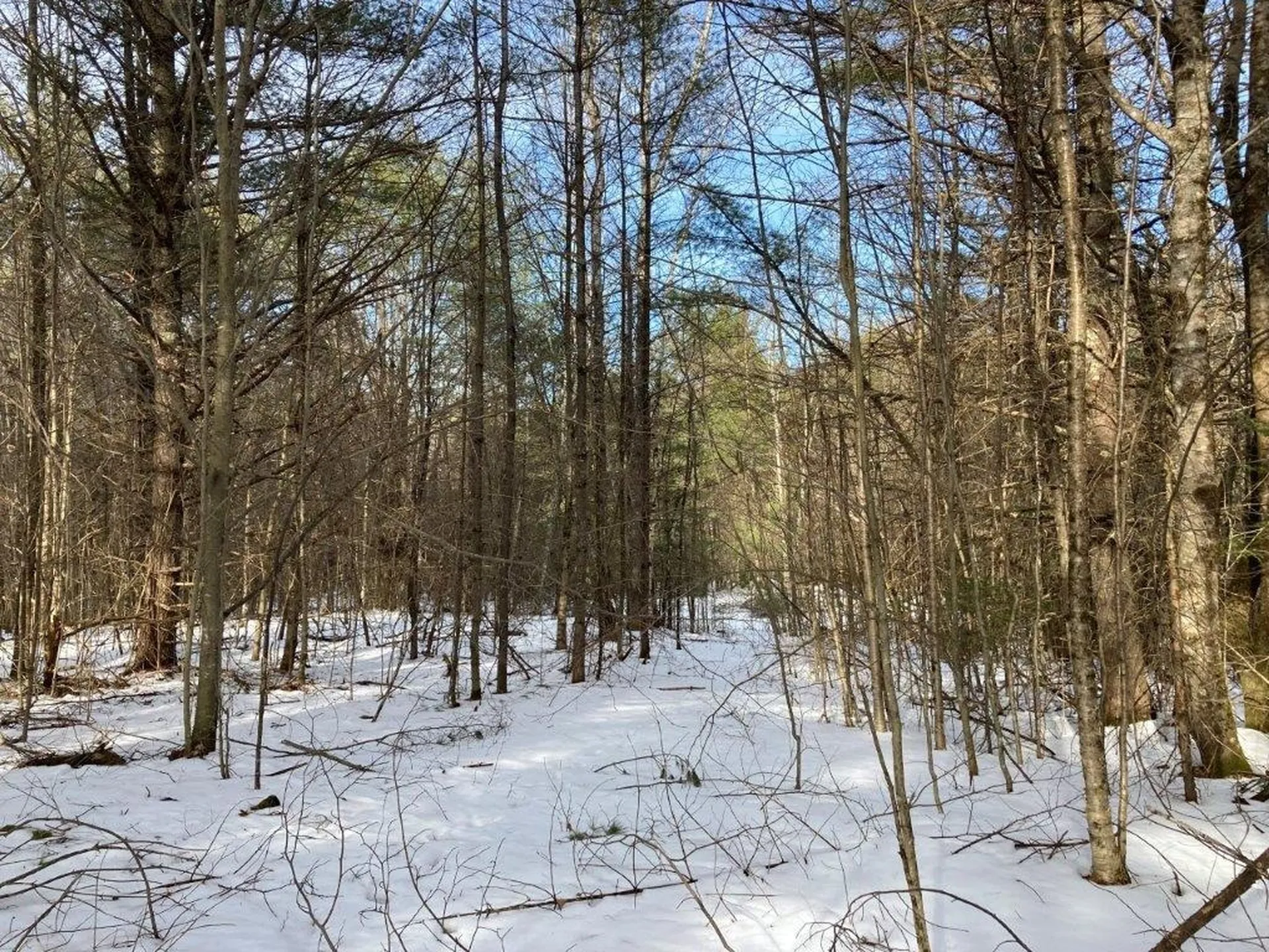 Jerusalem Road Canaan NH 03741