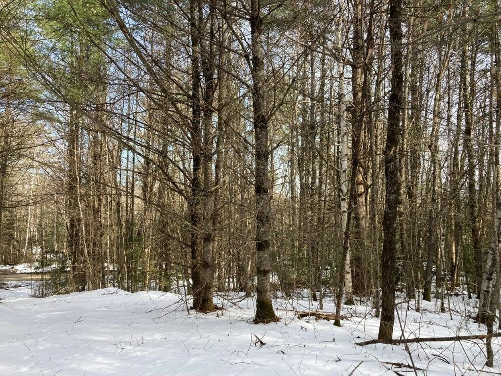 Jerusalem Road Canaan NH 03741